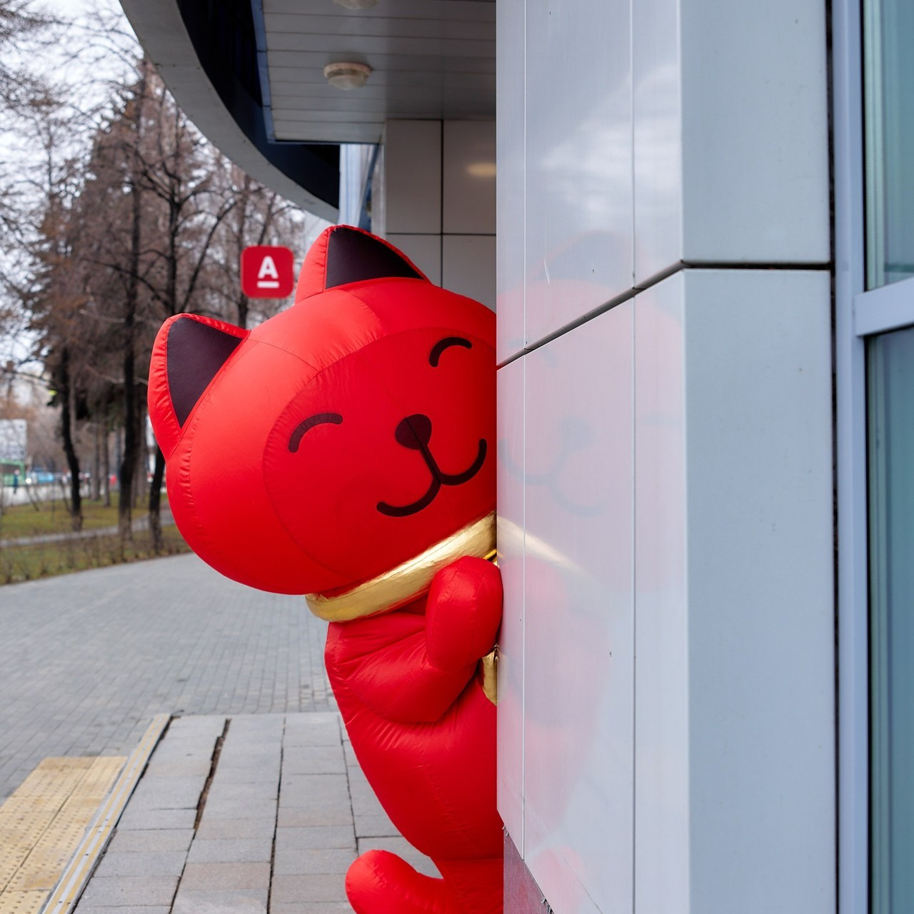 Отзывы. Александр Кашин, репортажный фотограф в Челябинске и Екатеринбурге