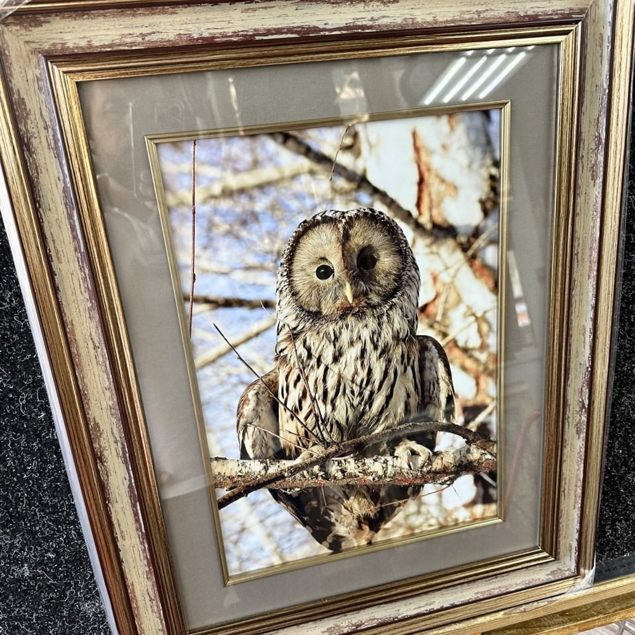 Багетное оформление любых типов работ. ГРАНДФОТО.РФ