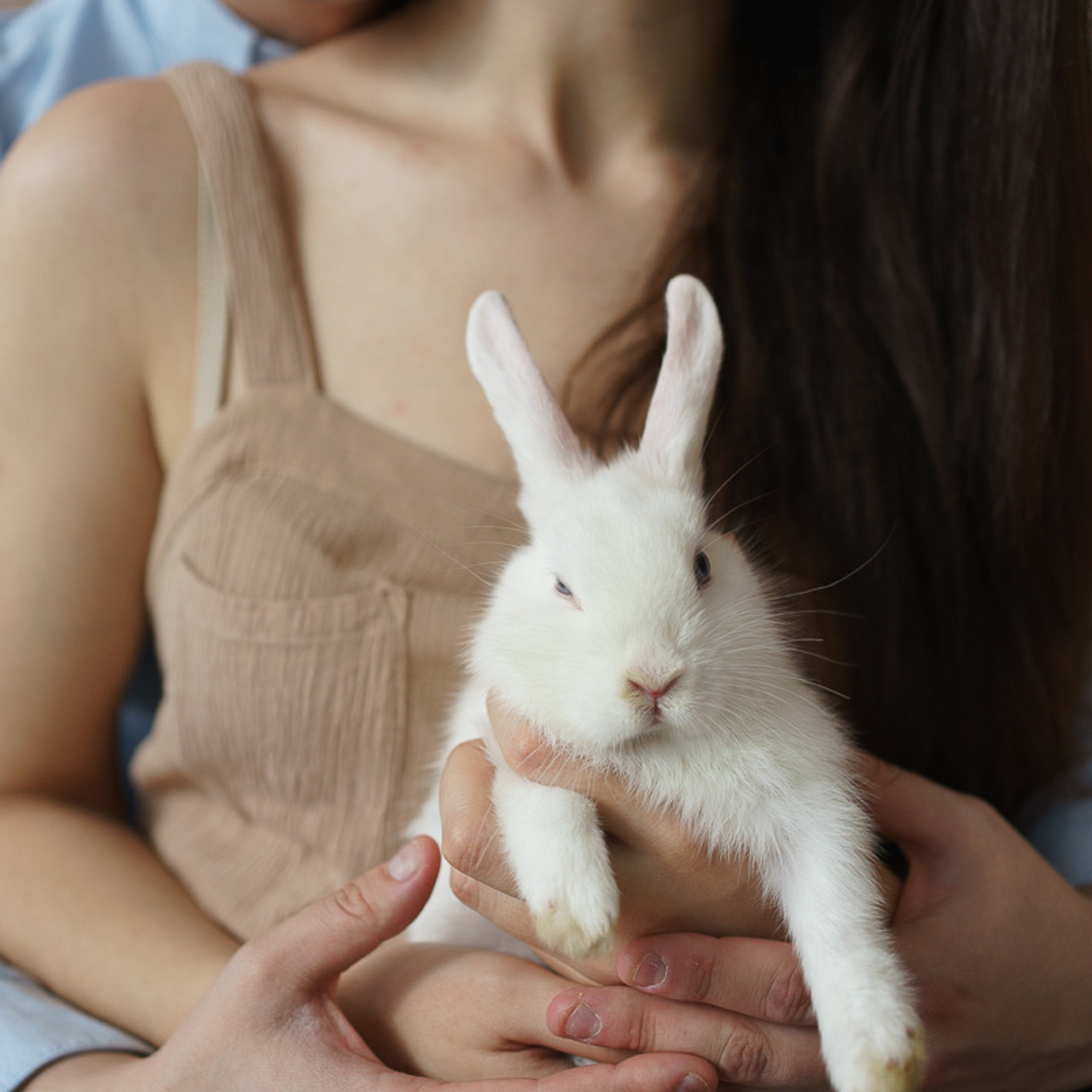 Отзывы. Свадебный и семейный фотограф в Беларуси Новик Александр