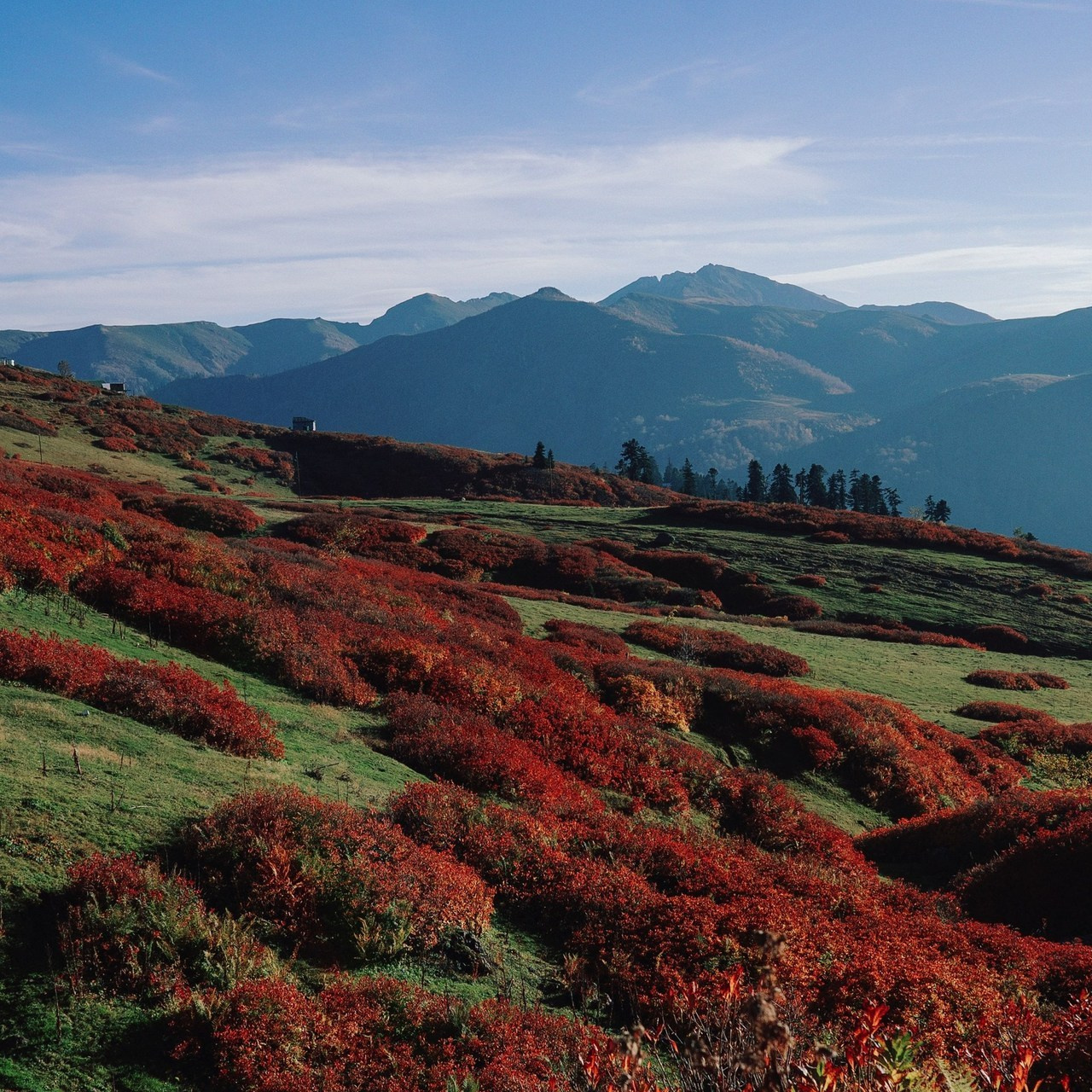 Отзывы. Photographer Barcelona