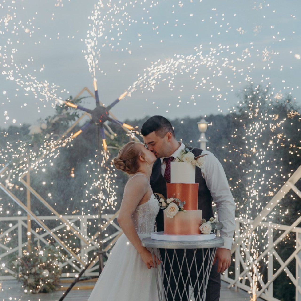 Фотографы Ботаника. Подрядчики и друзья сети свадебных площадок House for wedding