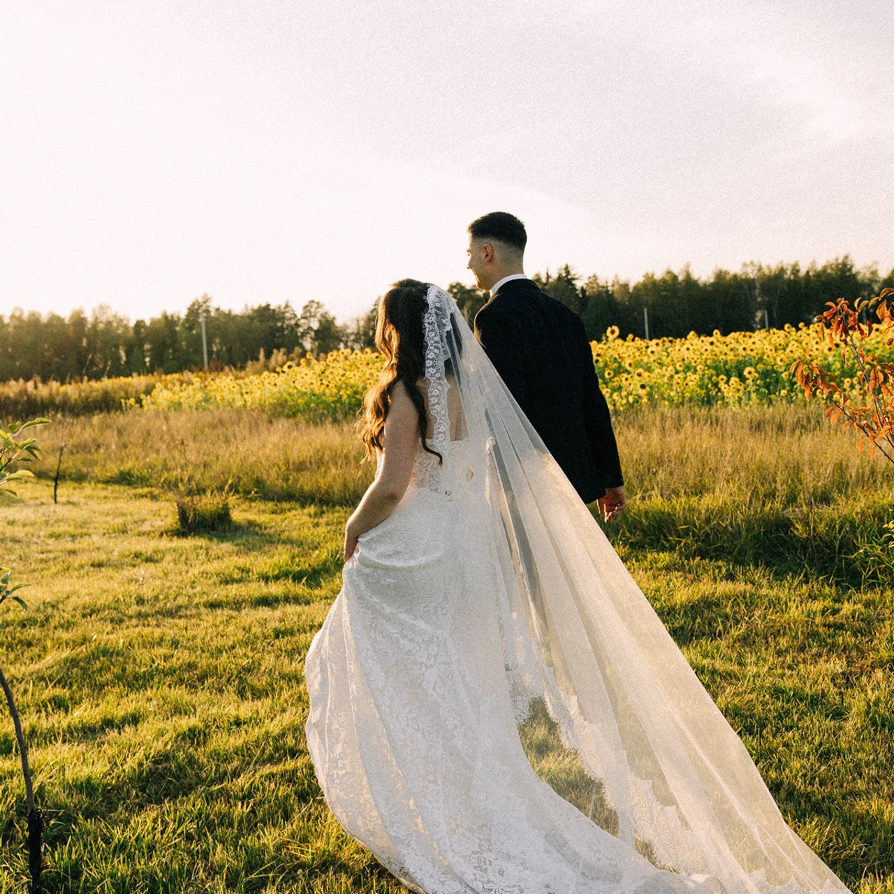 Фотографы Ботаника. Подрядчики и друзья сети свадебных площадок House for wedding