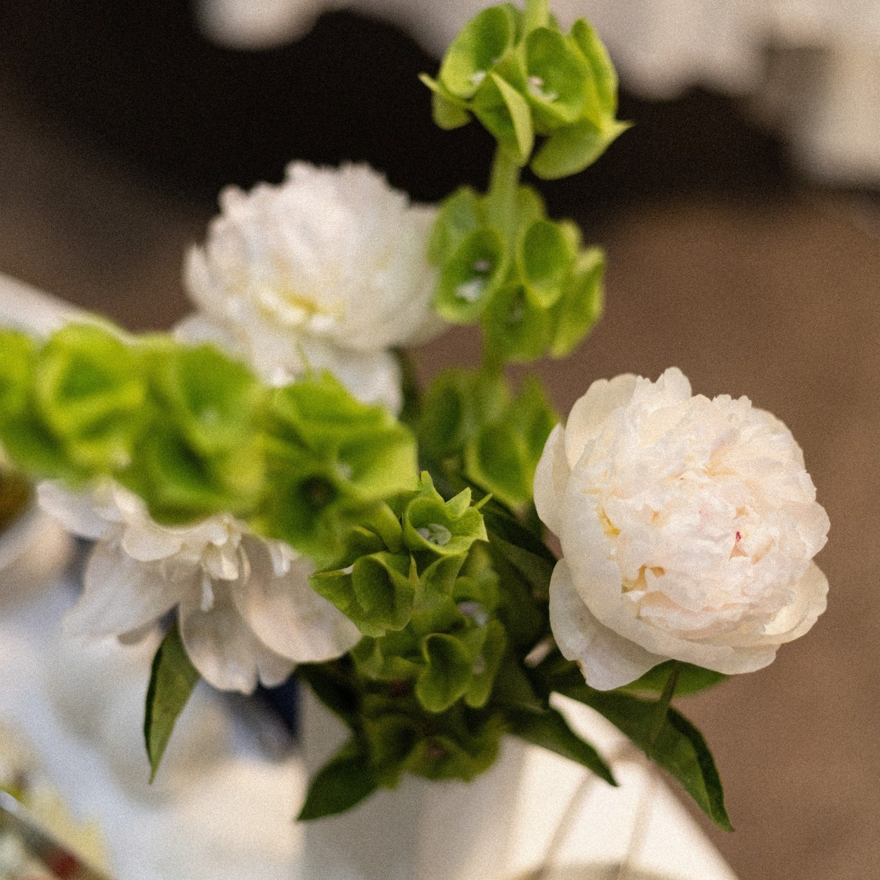 Отзывы. Фотограф Санкт-Петербурге и Москве Анна Кривцова