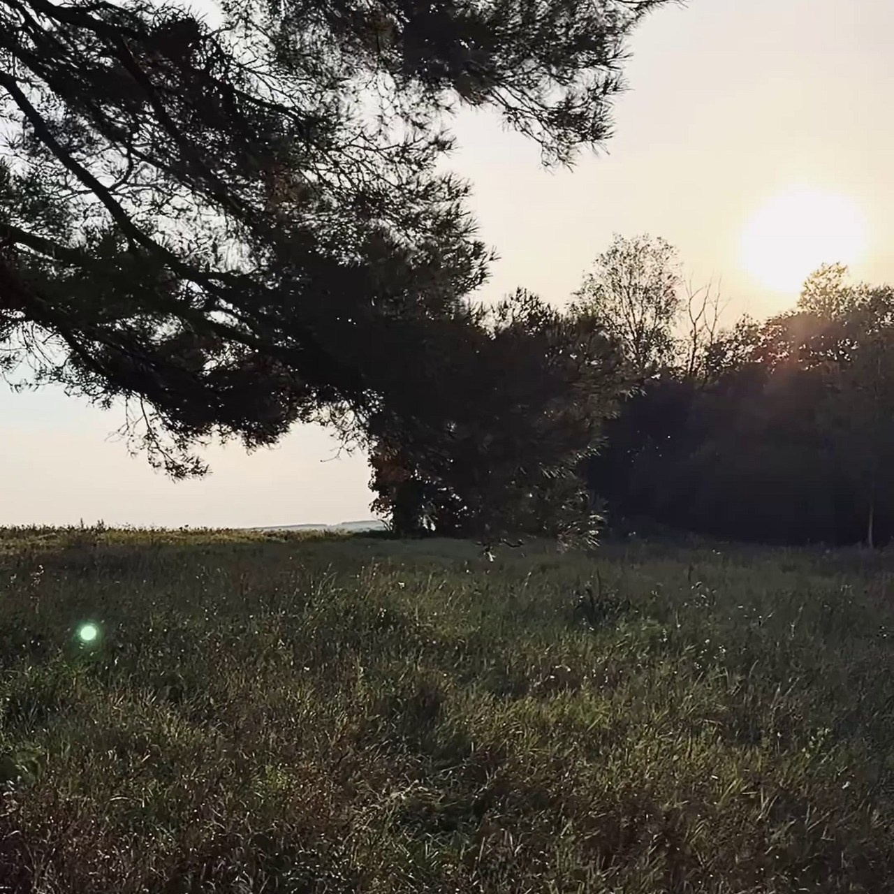 Отзывы. ЮЛИЯ КОНДРАТЬЕВА, ВАШ СЕМЕЙНЫЙ ФОТОГРАФ