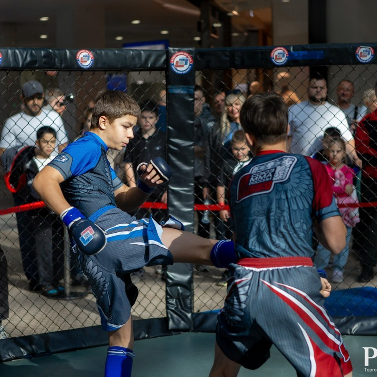 Отзывы. Свадебный и портретный Фотограф в Липецке Дмитрий Котюков