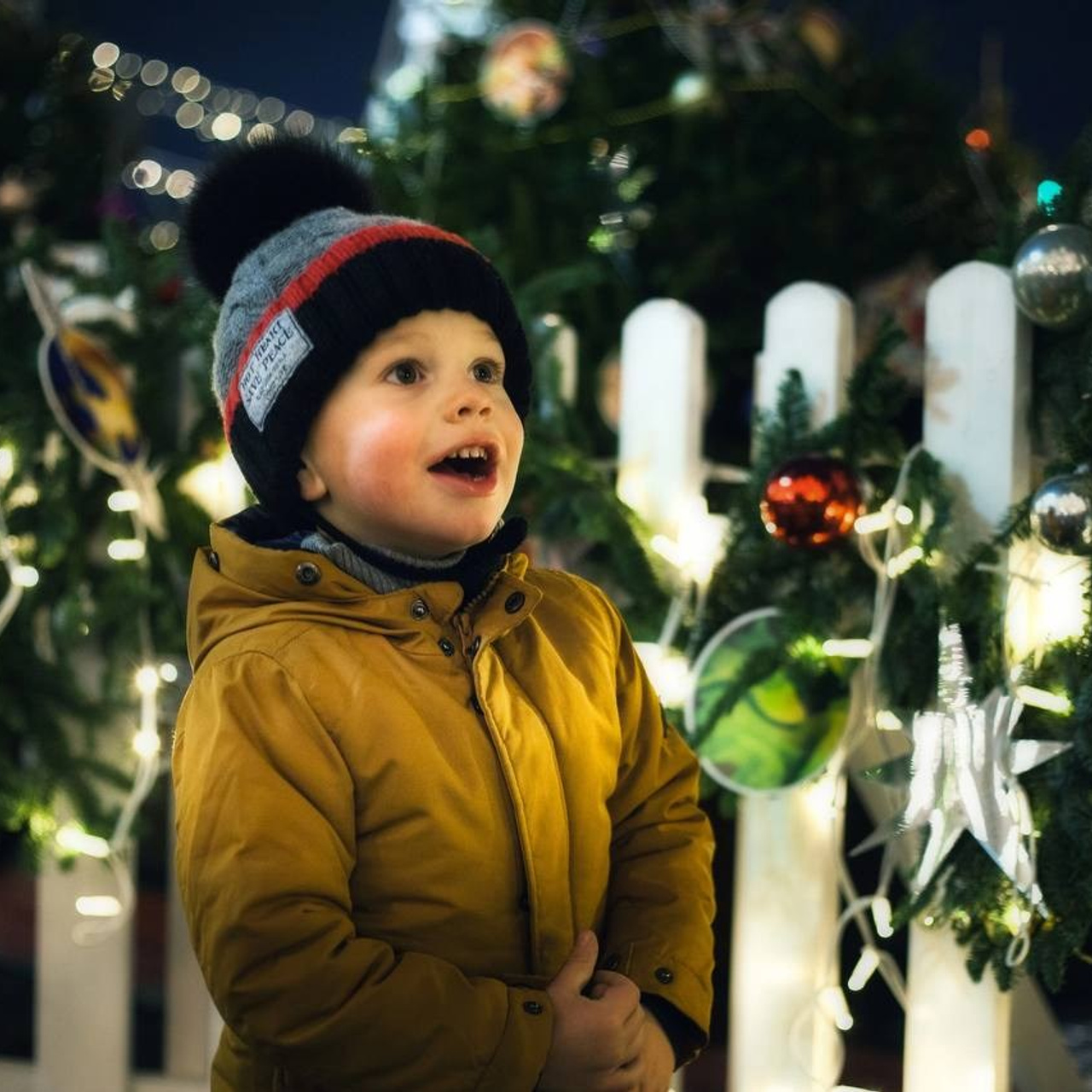 Отзывы. Фотограф в Ростове Александр Курылев