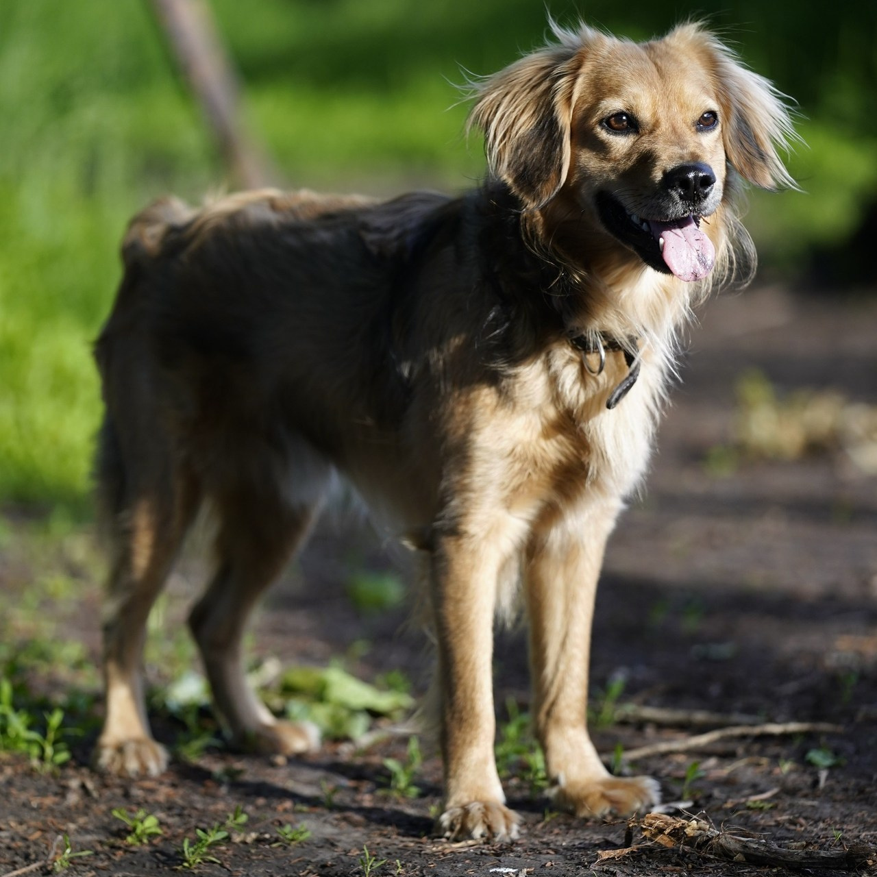 Отзывы. Фотограф Евгений Горбачев