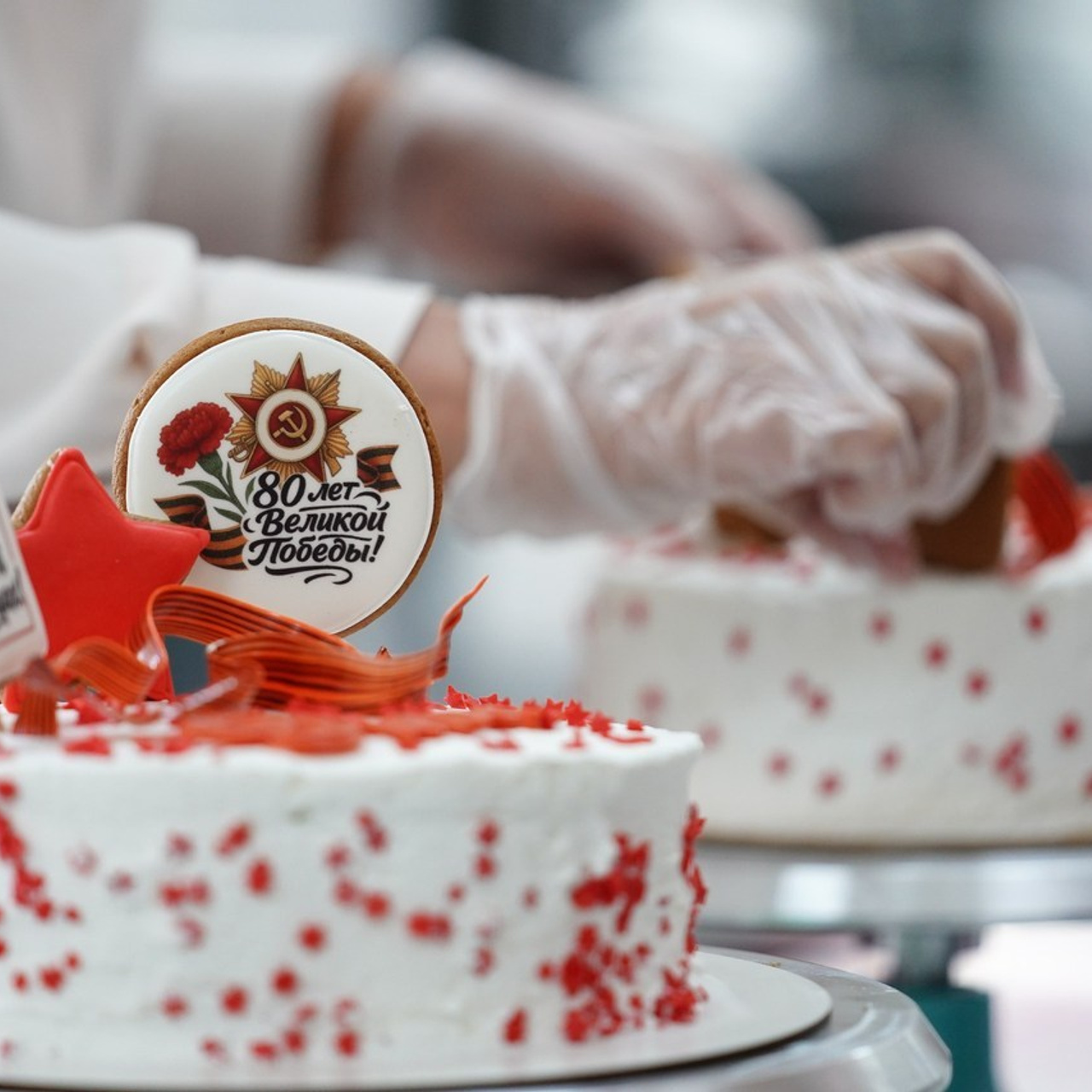 Отзывы. Фотограф Евгений Горбачев