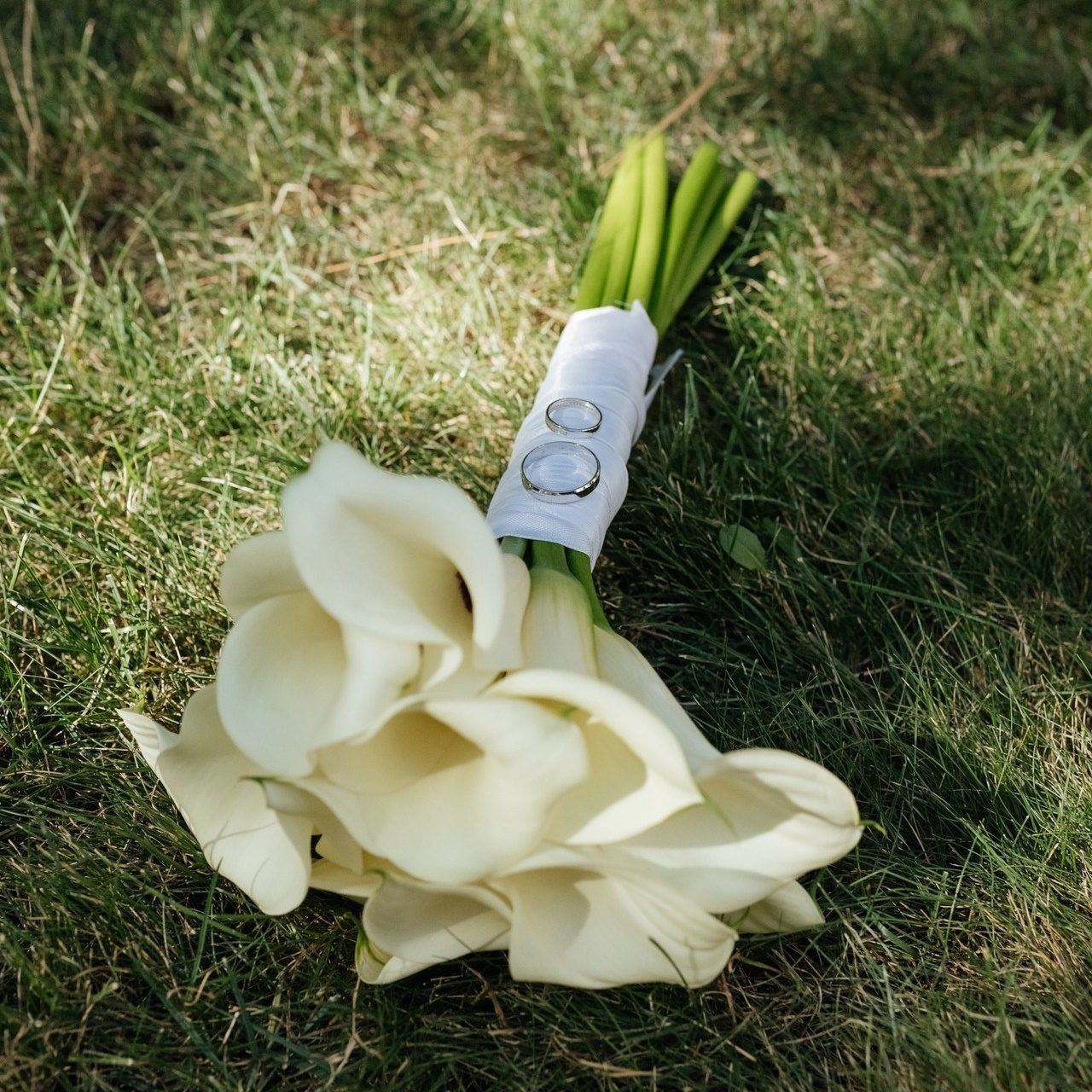 Отзывы. Фотограф Елена Кучук