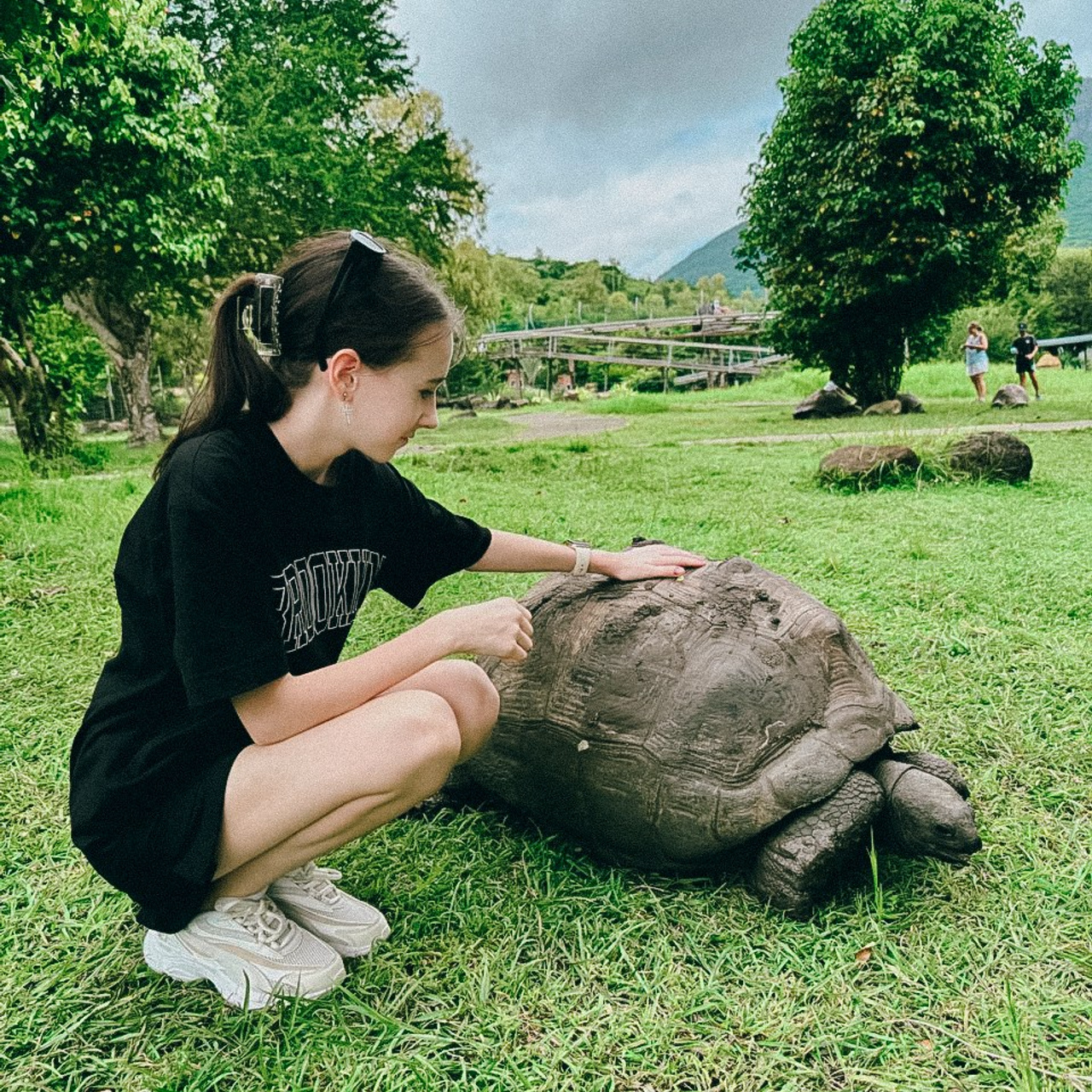 Бронирование отелей и туров на Маврикий