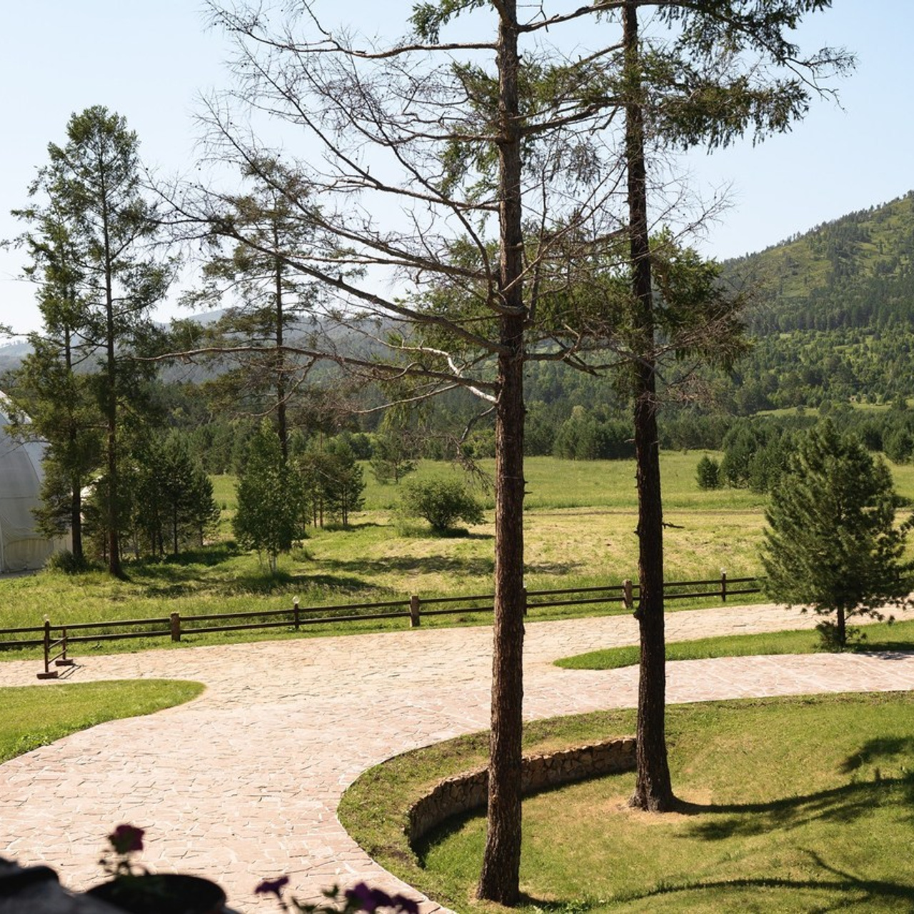 Отзывы. Свадебный и Семейный фотограф в Абакане, Красноярске