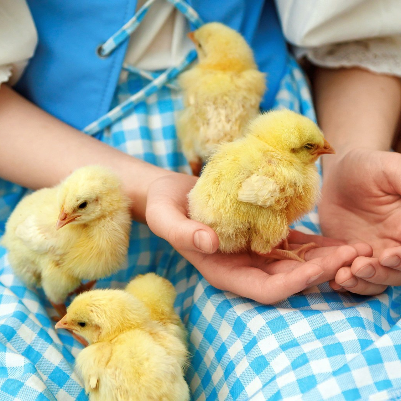 Отзывы. Олеся Пучковская фотограф, Белогорск, Амурская область