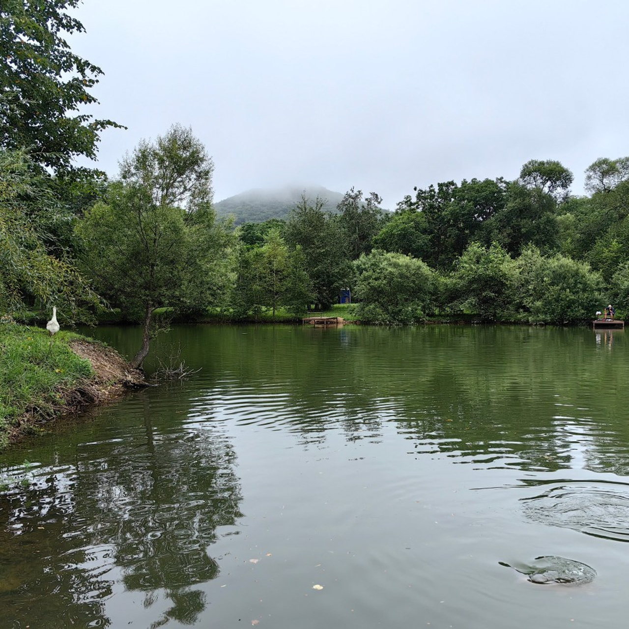 Отзывы. Олеся Пучковская фотограф, Белогорск, Амурская область