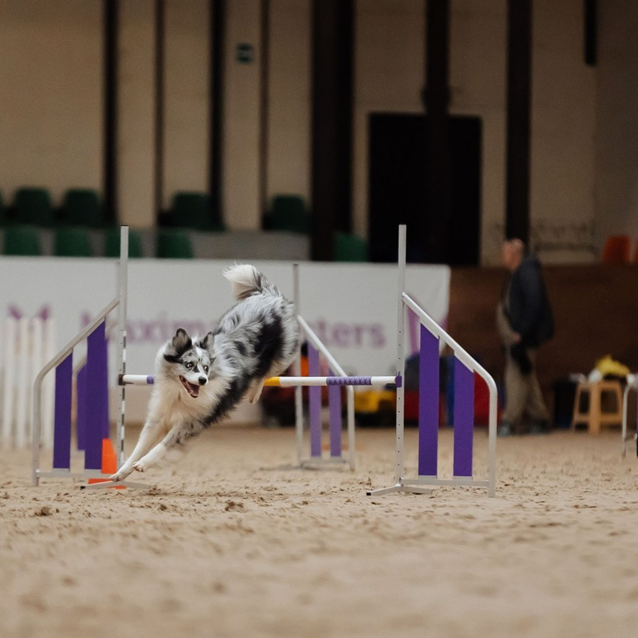 Отзывы. Фотограф Анималист Екатерина Справцева в Нижнем Новгороде