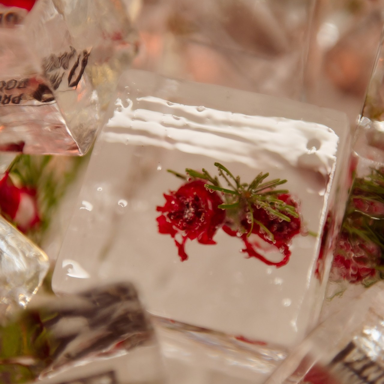 Отзывы. Анна Моисеева фотограф самара