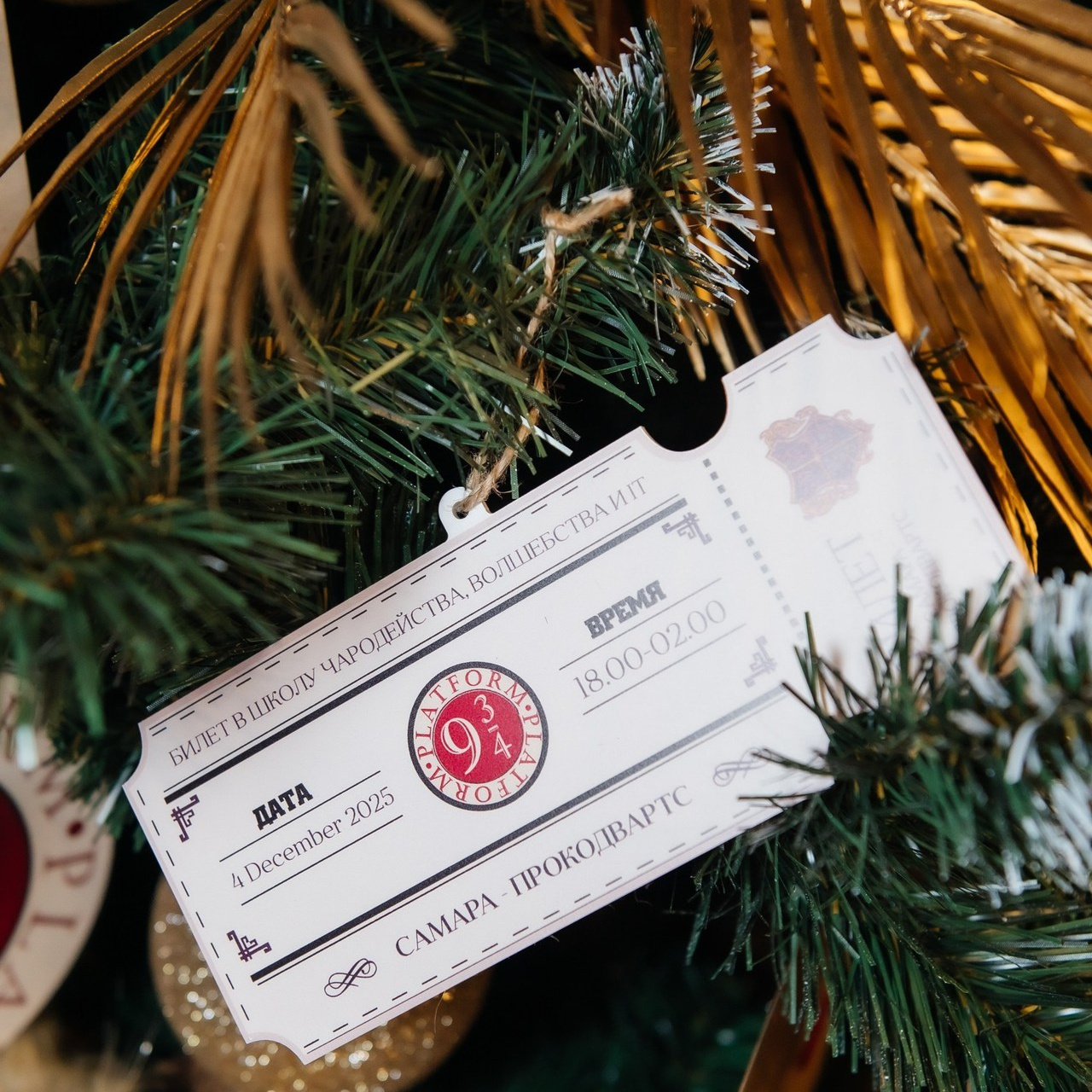 Отзывы. Анна моисеева фотограф самара