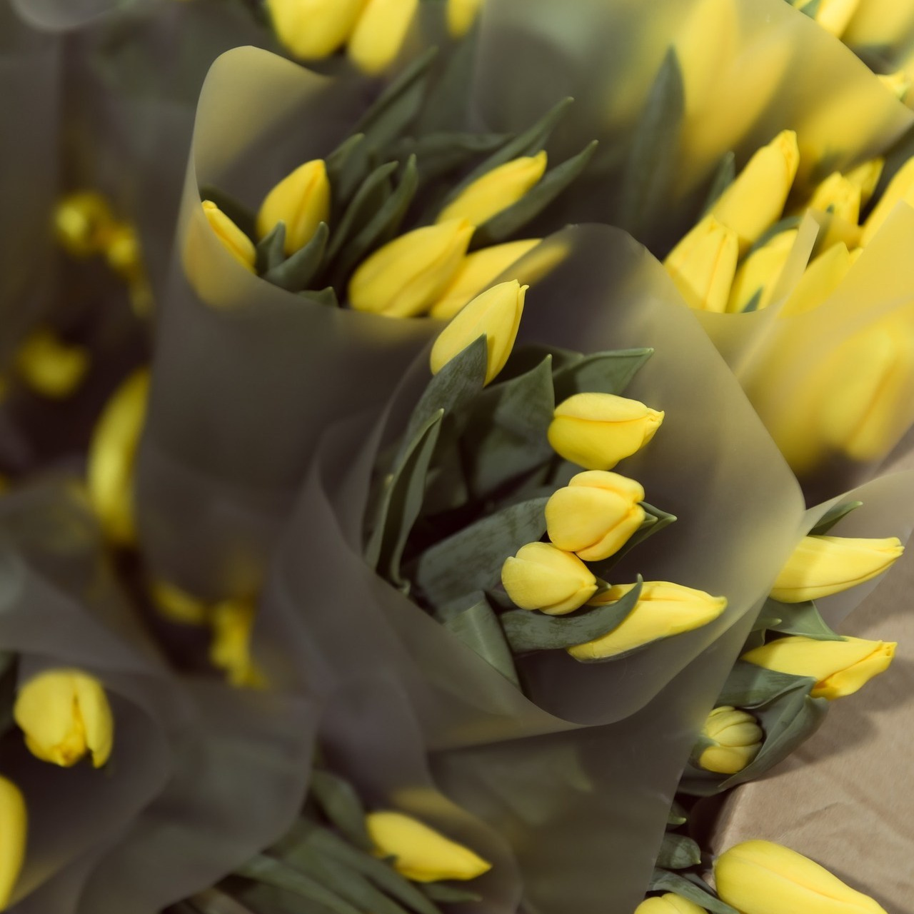 Отзывы. Анна Моисеева фотограф самара