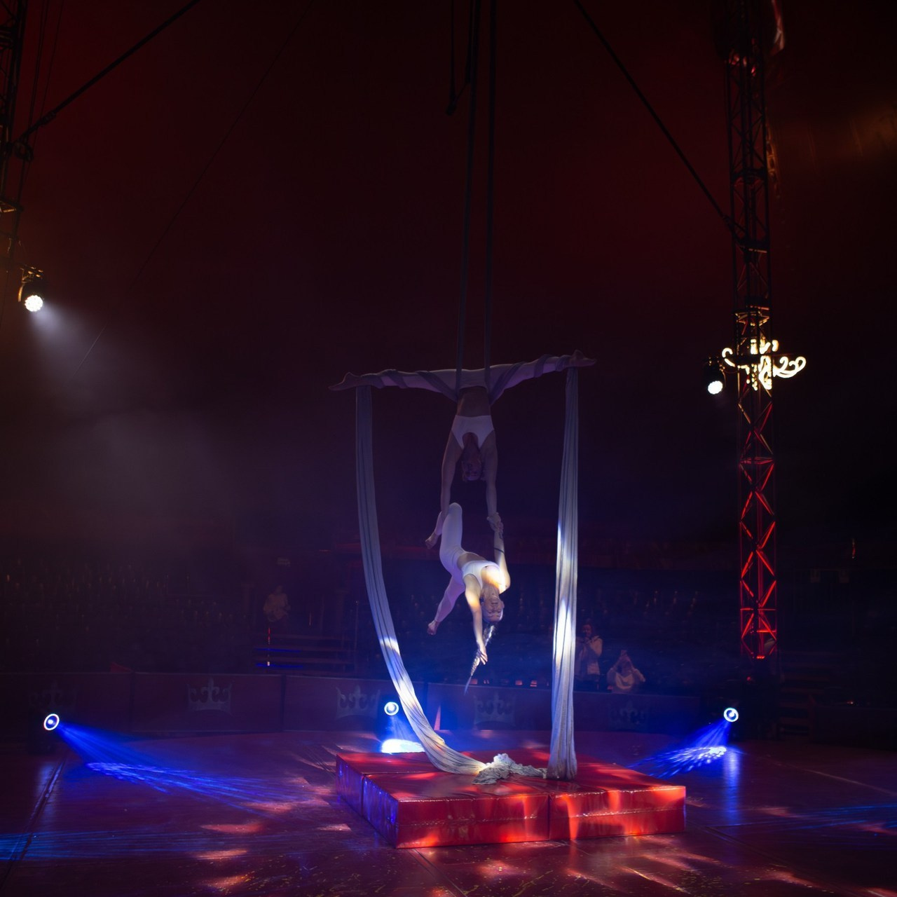 FEEDBACK. Portrait, family and pet photographer in Cyprus, Ksenia Bourdelle