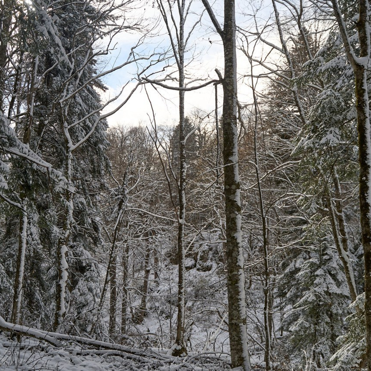 Отзывы. Главная