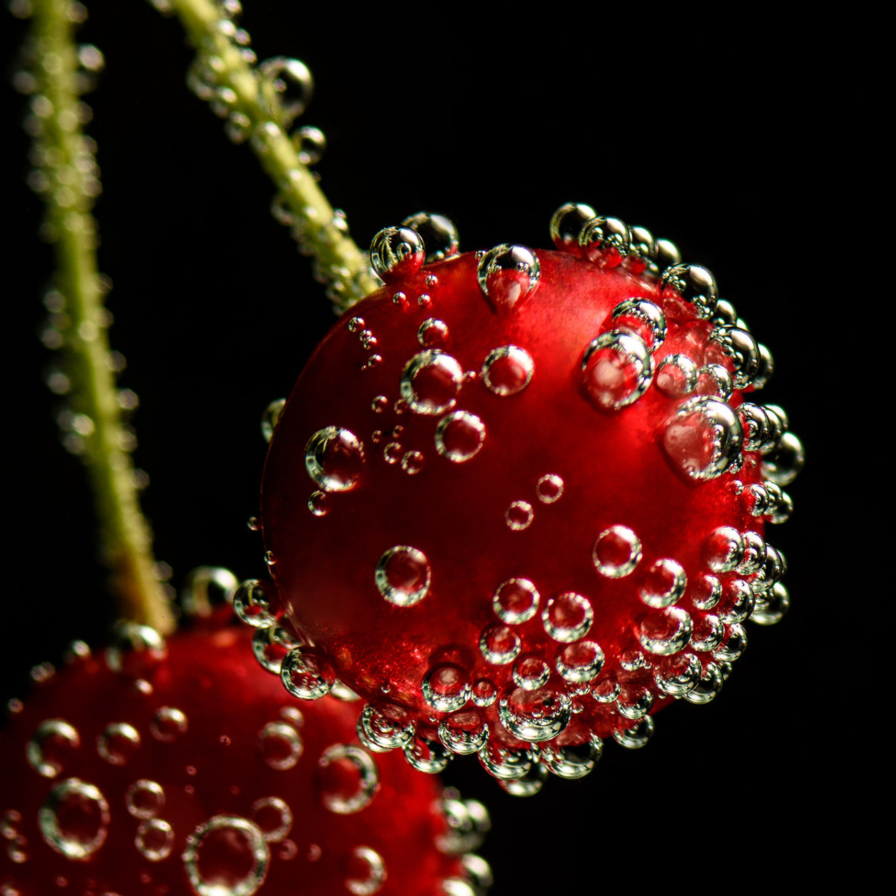 Отзывы от заказчиков. Предметный и рекламный фотограф Владимир Зубков в Бийске