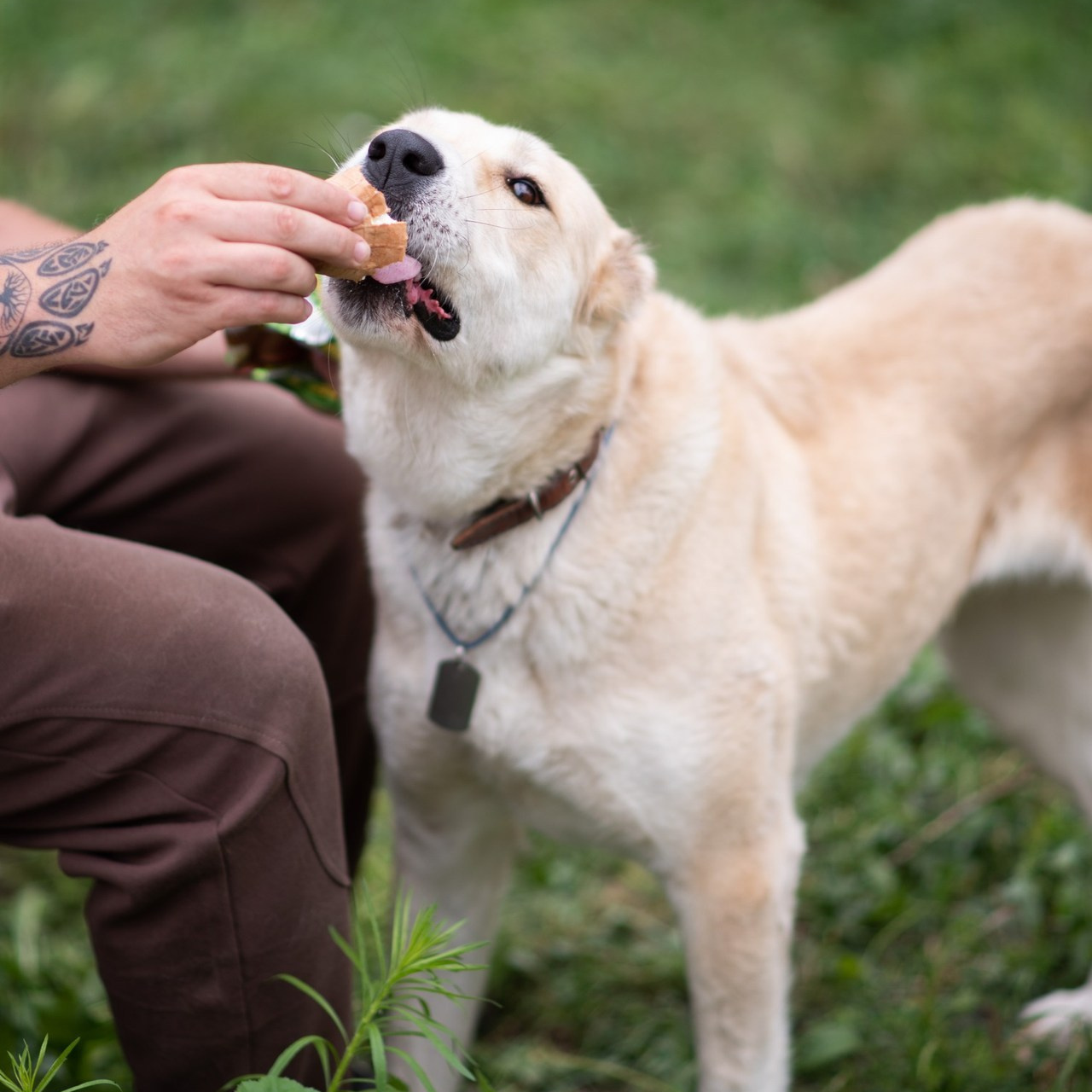 Отзывы. Семейный и детский фотограф в Москве и Туле