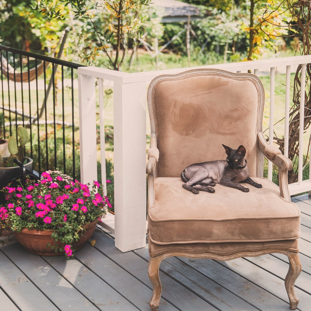 Отзывы. Свадебный и семейный фотограф Колоскова Мария (Сочи и весь мир)