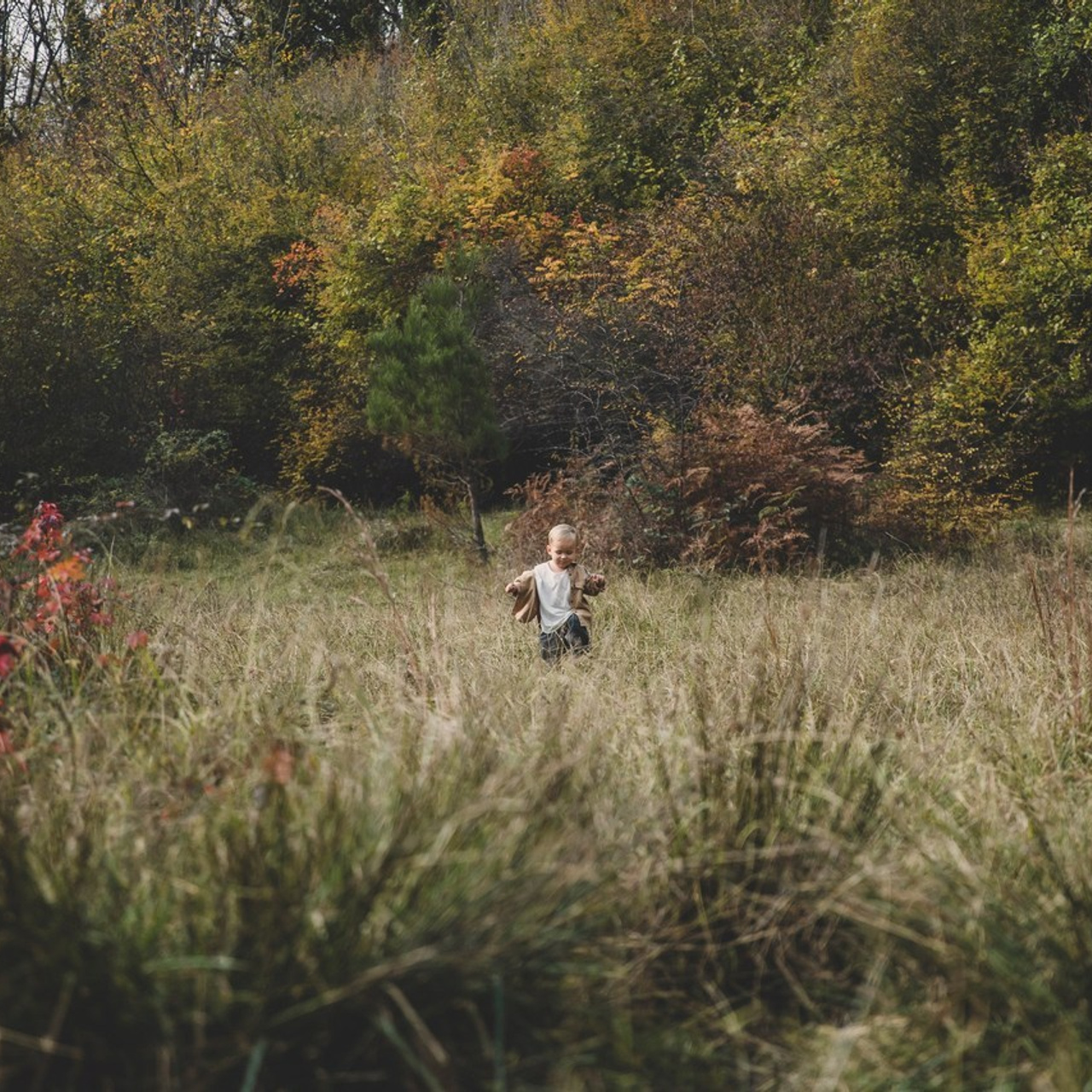 Отзывы. Свадебный и семейный фотограф Колоскова Мария (Сочи и весь мир)