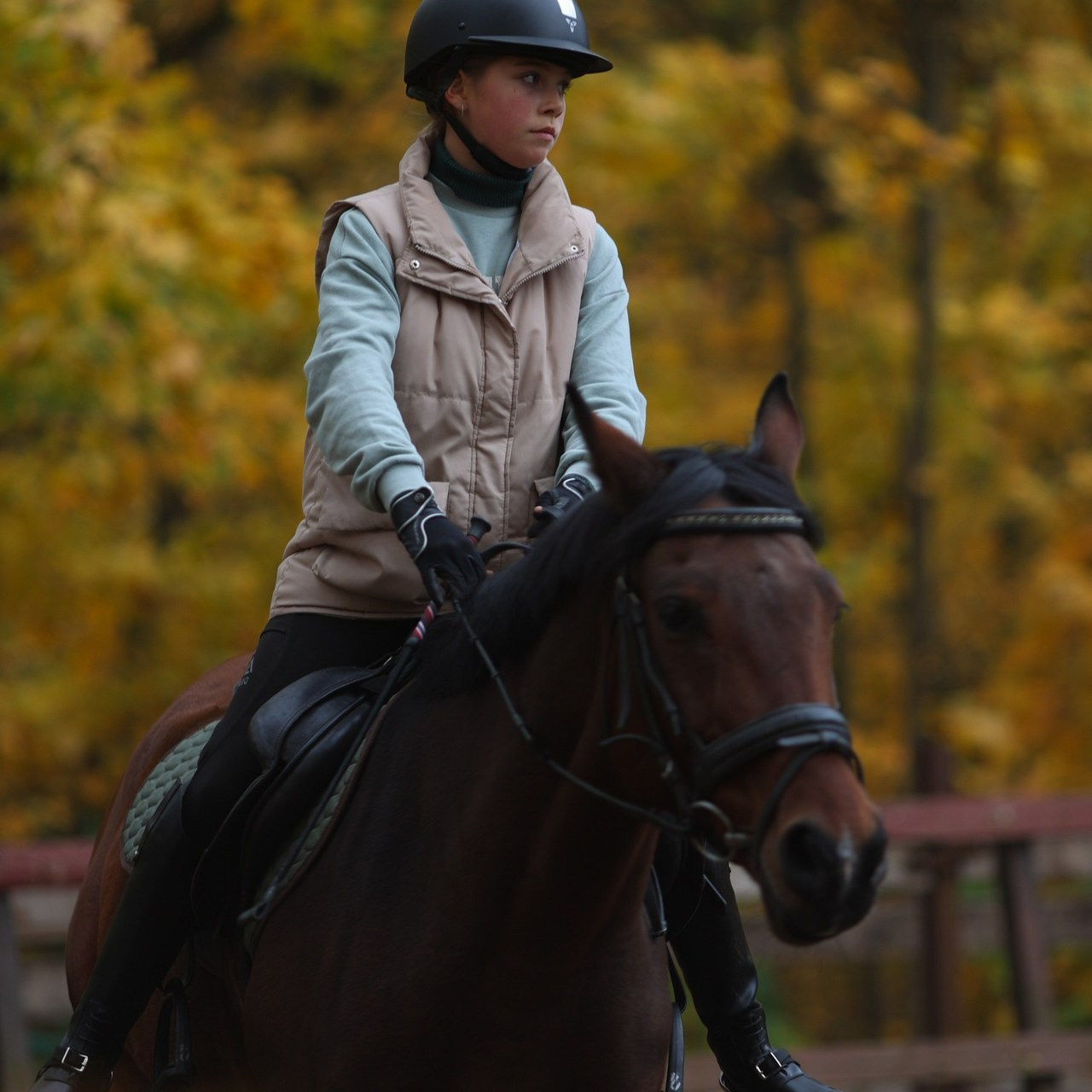Фотограф Алина Рошаль. С 2017 года ловлю эмоции и превращаю их в нежные воспоминания для вас в Москве и Подмосковье
