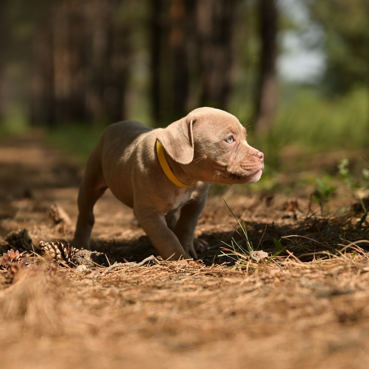 Отзывы. Татьяна Кам Арт - фотограф Ангарска