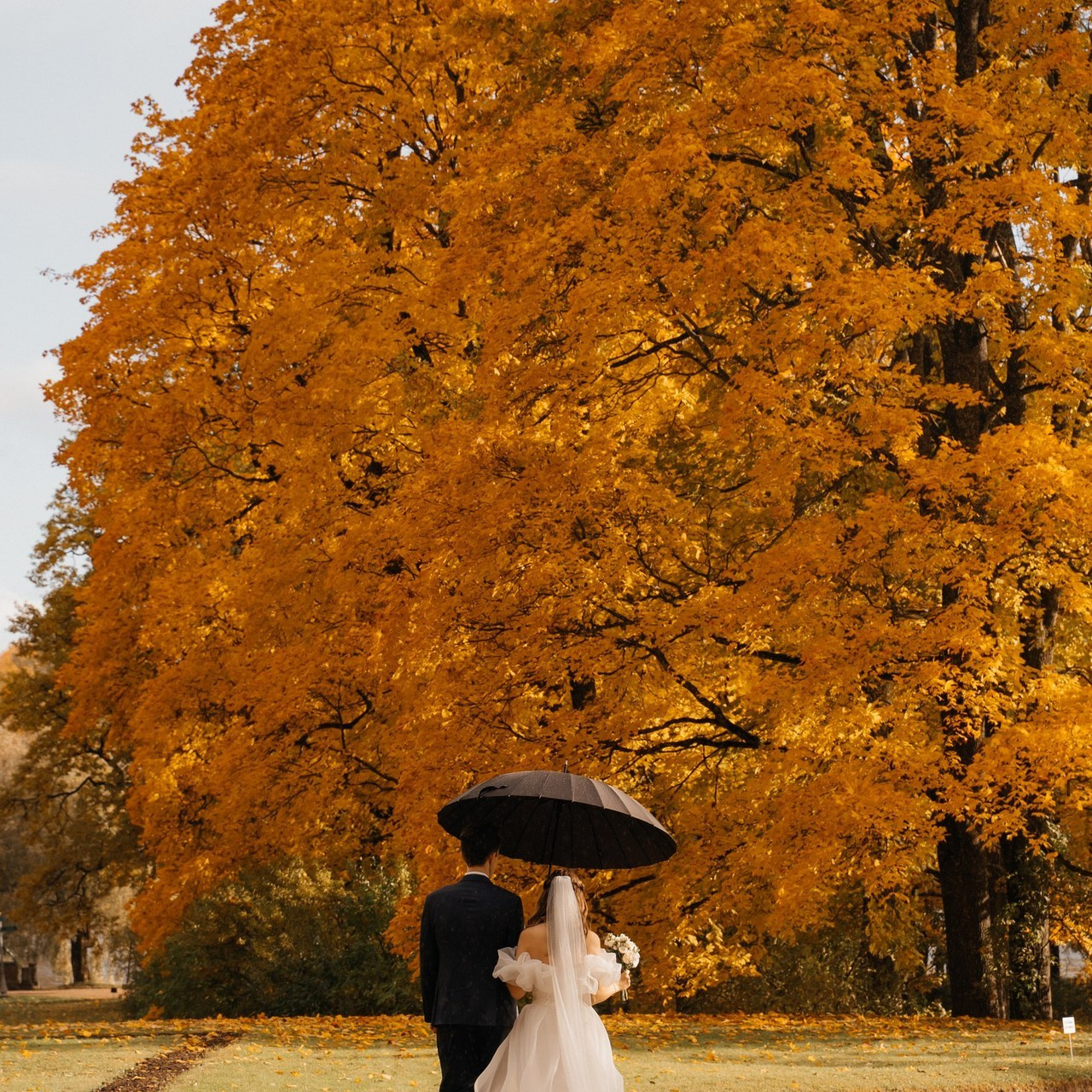 Отзывы. Свадебные фотограф и видеограф Наталья и Анатолий Новиковы СПб