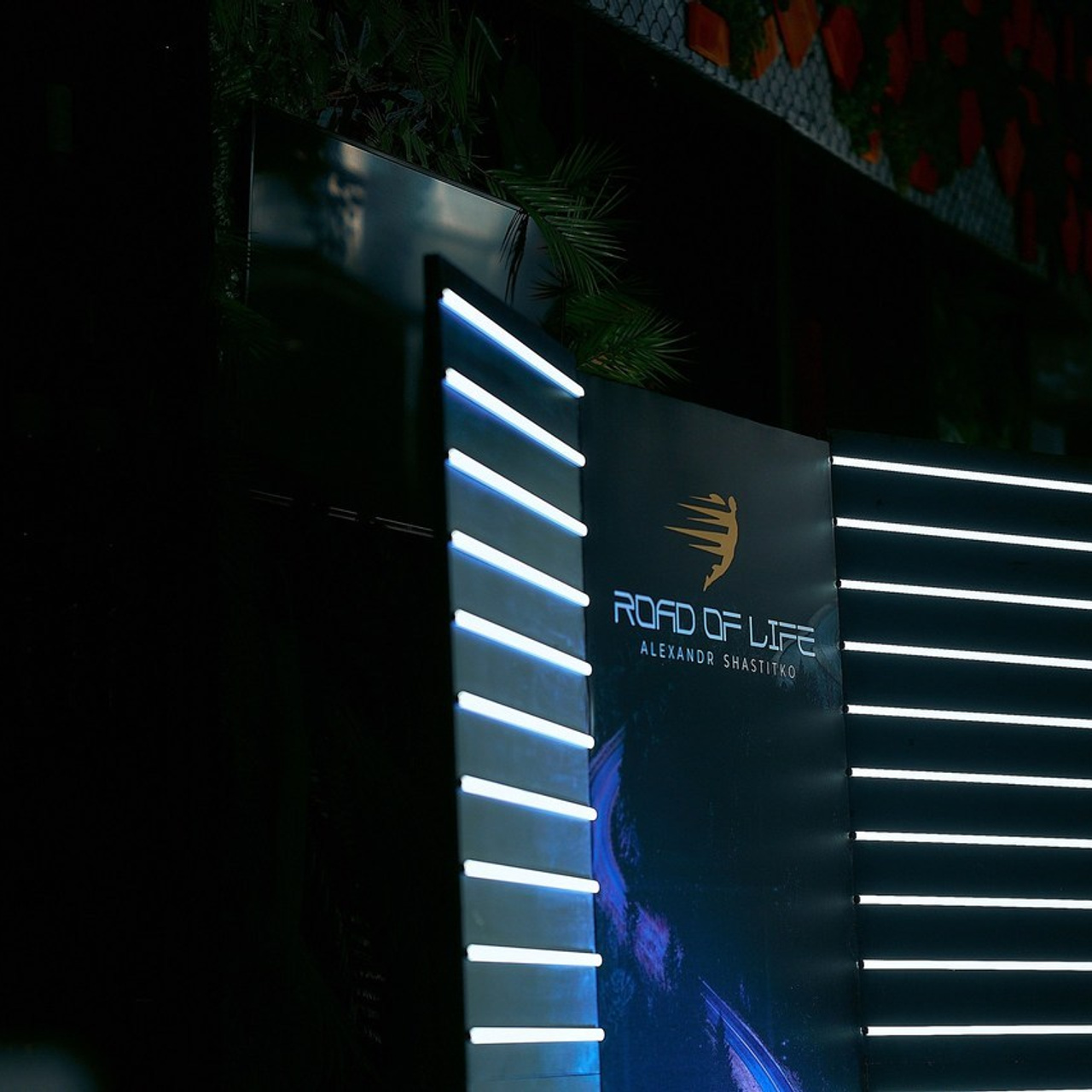 Отзывы. Свадебный фотограф Минск РБ