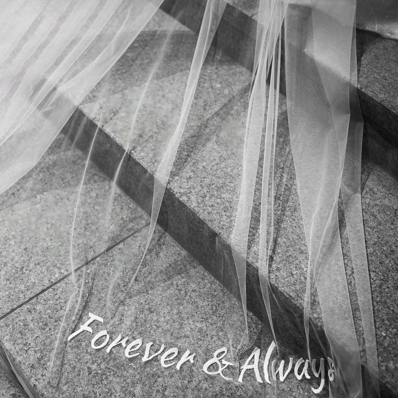 Отзывы. Свадебный фотограф Минск РБ