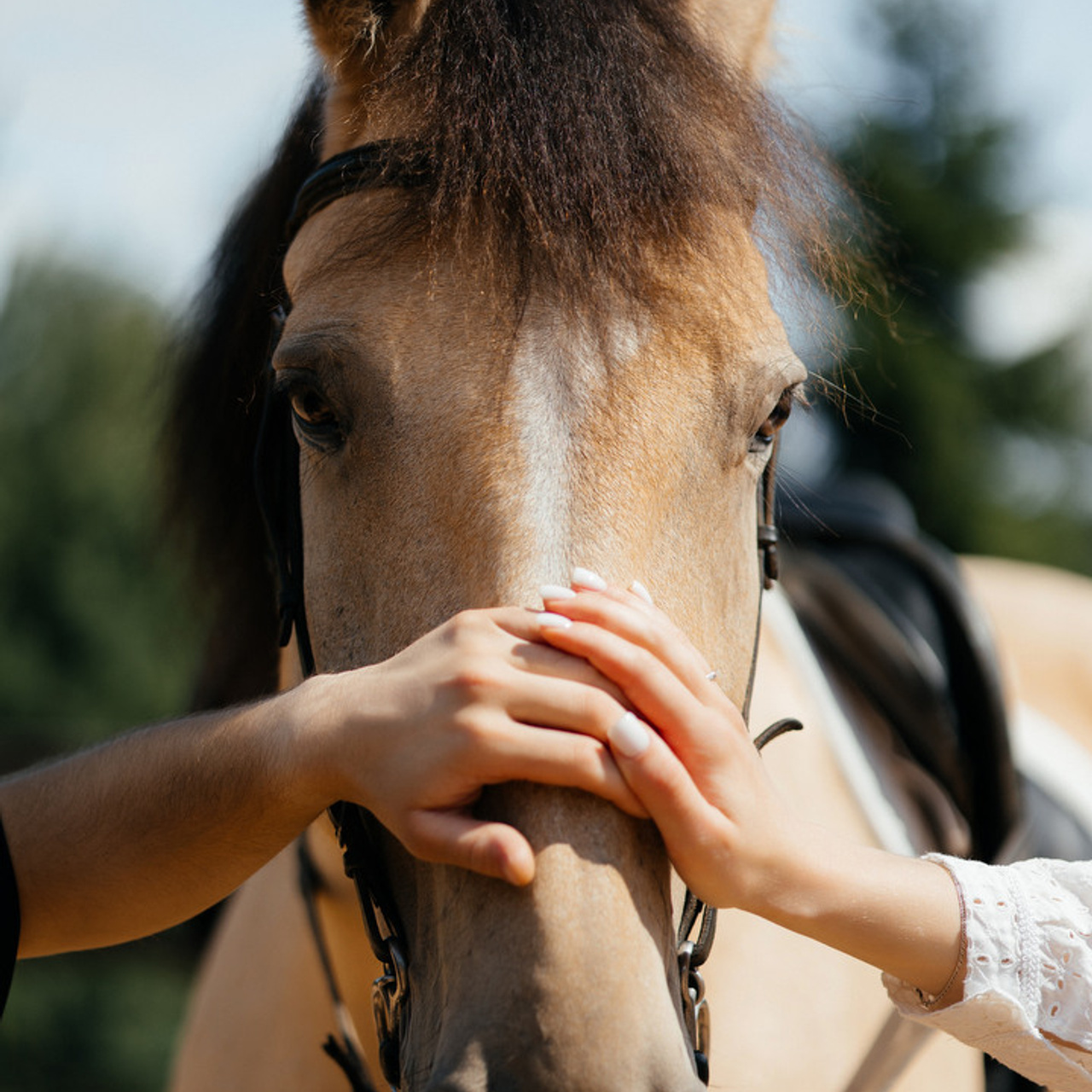 Отзывы. Свадебный фотограф Минск РБ