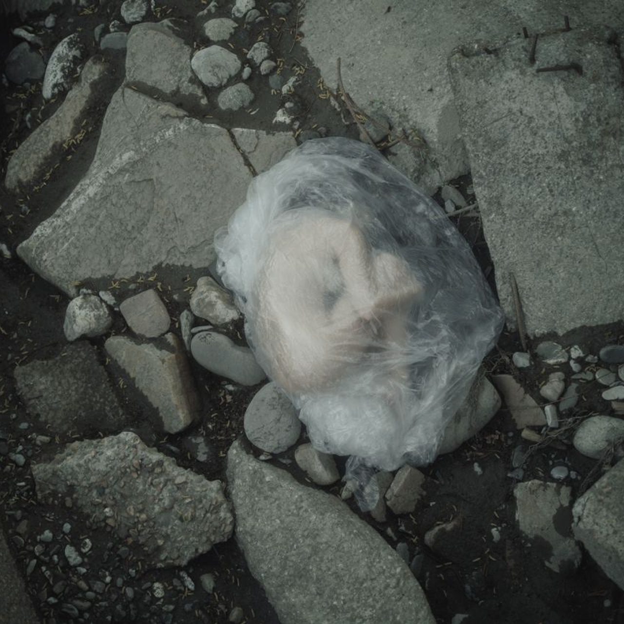 Фотограф Кисловодск