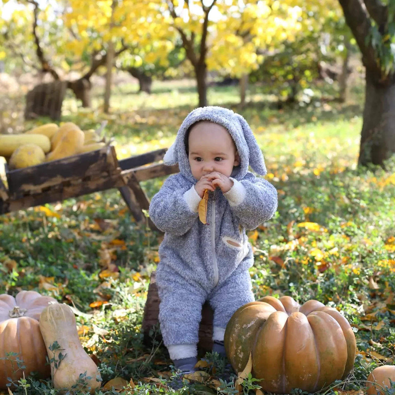 Отзывы. Семейный и детский фотограф в Симферополе и Севастополе