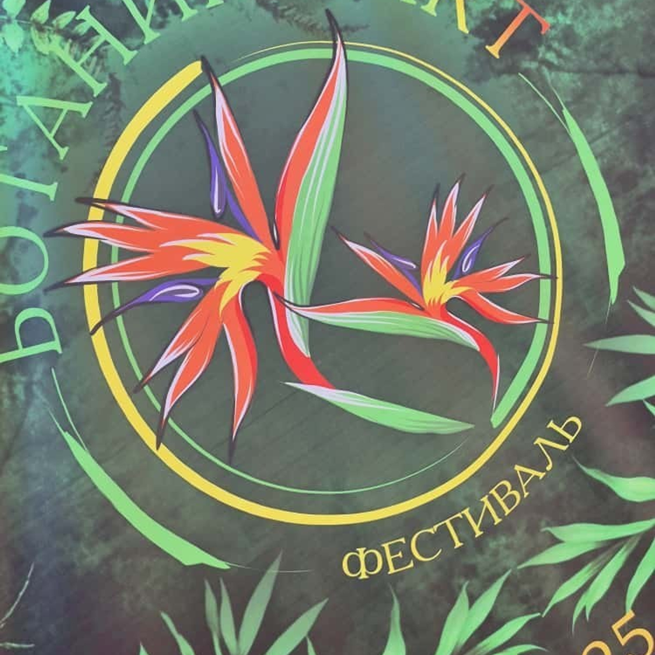 Отзывы. Семейный и репортажный фотограф Наташа Давыдова