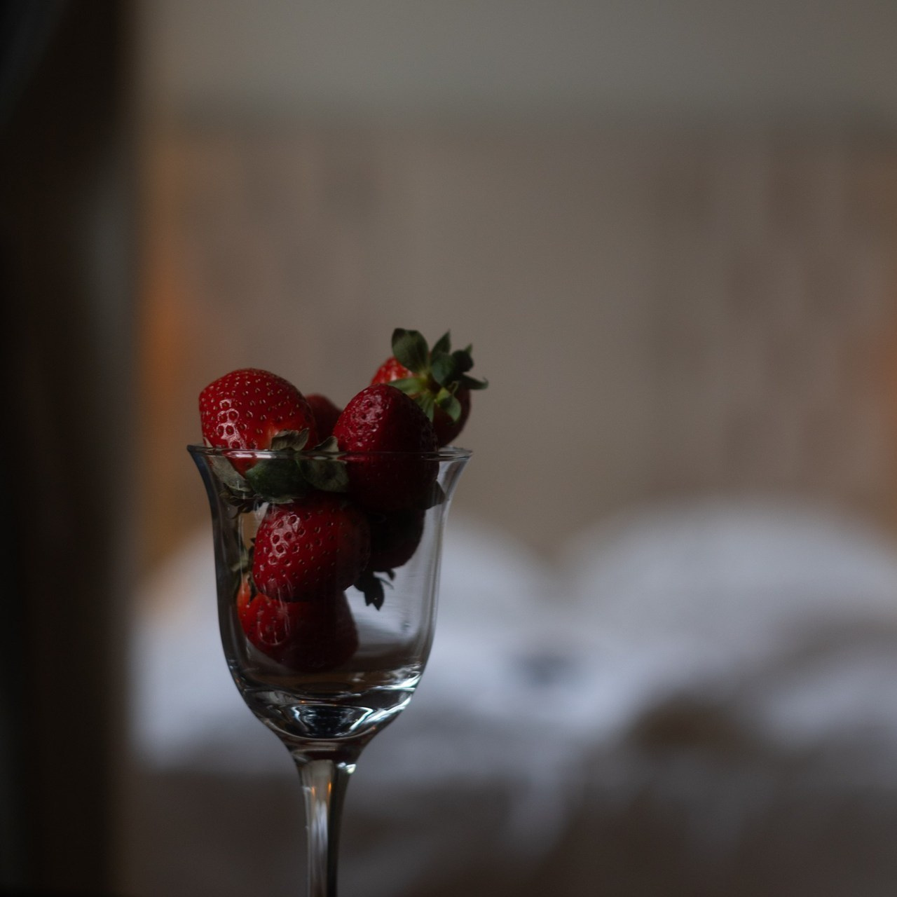 Отзывы. Фотограф Светлана Рыбенко. Белгород