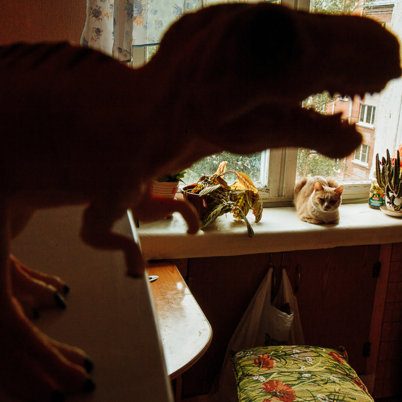 Пляски с бубном и пачка анальгина