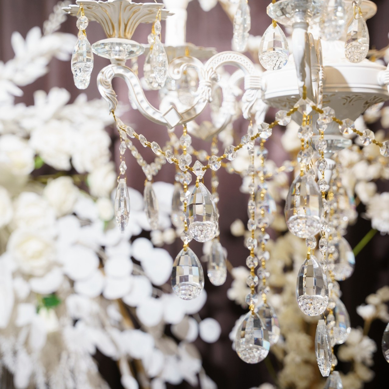 Отзывы. Видеограф