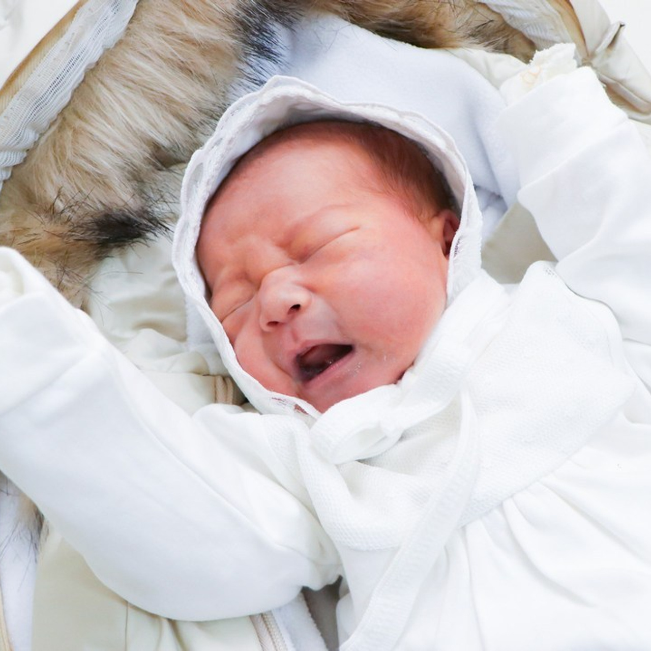 Отзывы. Видеограф