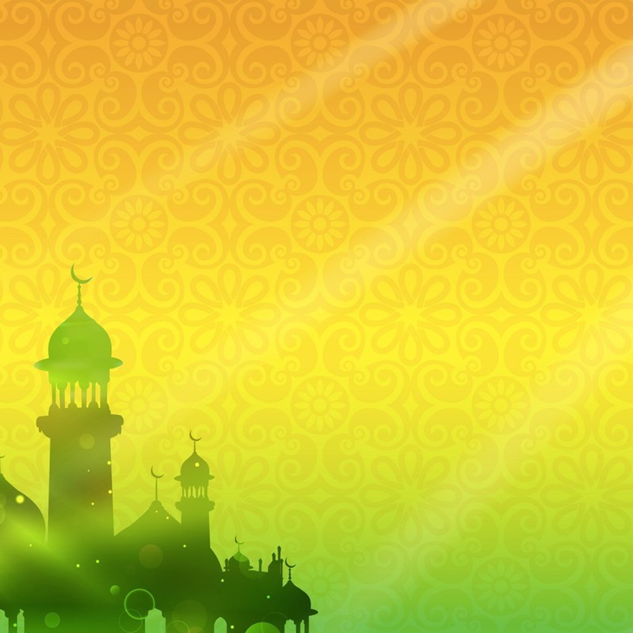 Отзывы. Видеограф