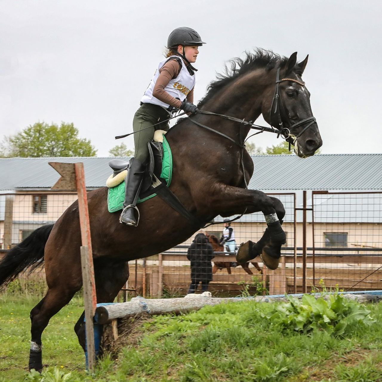 Отзывы. КониФото