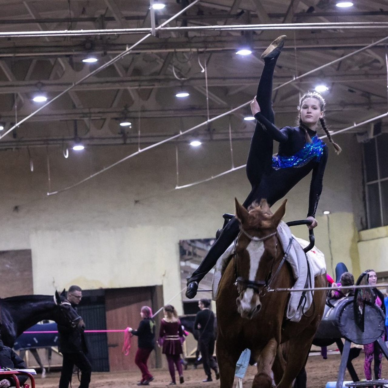 Отзывы. КониФото