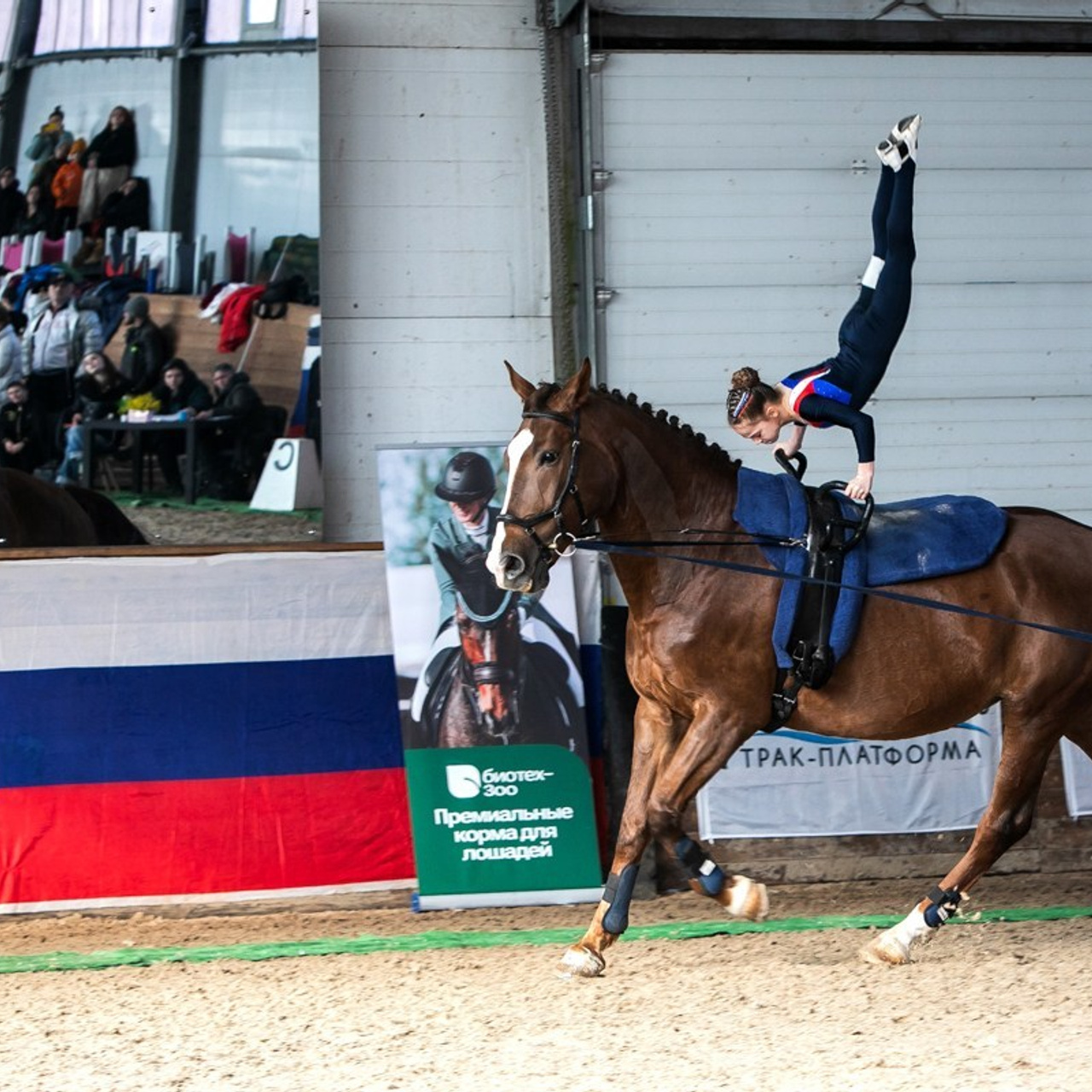 Отзывы. КониФото