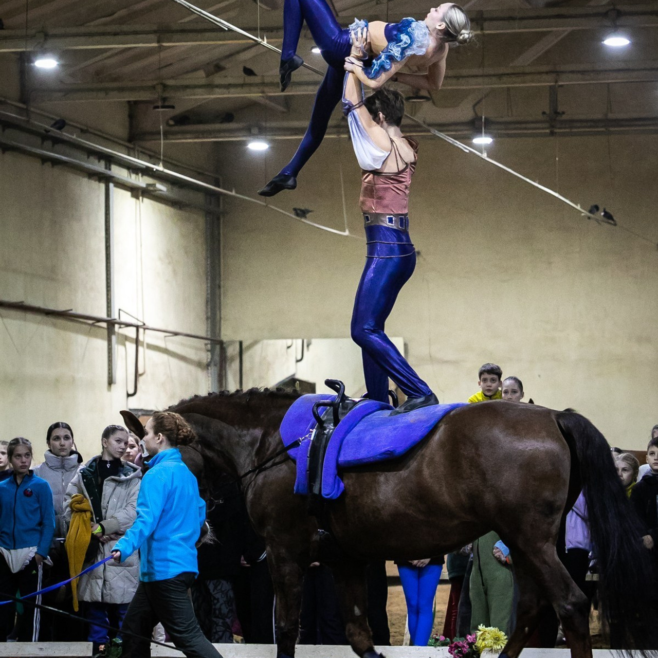 Отзывы. КониФото