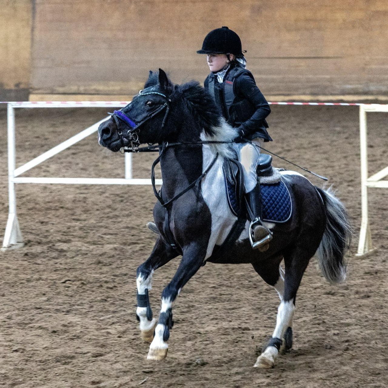 Отзывы. КониФото