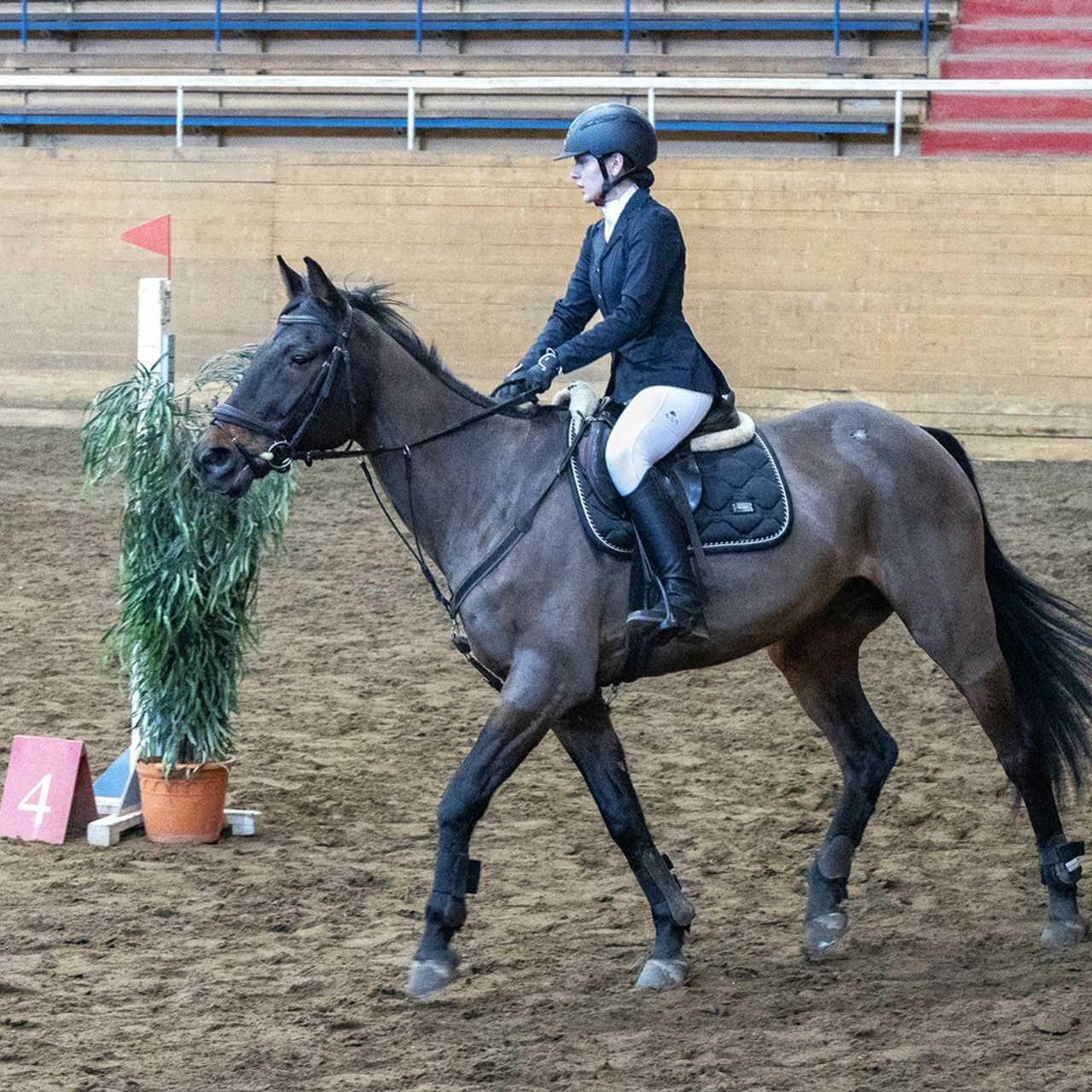 Отзывы. КониФото