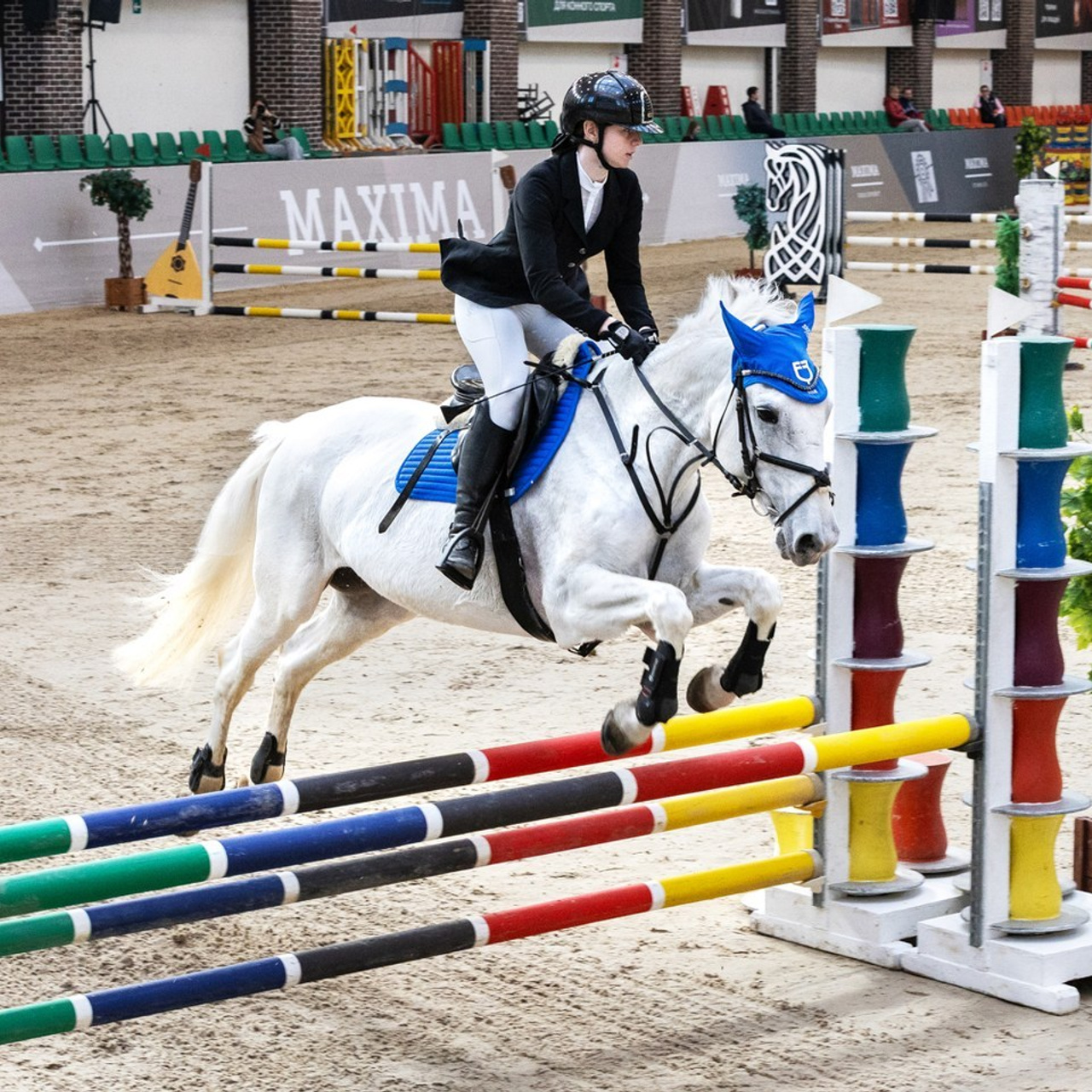 Отзывы. КониФото