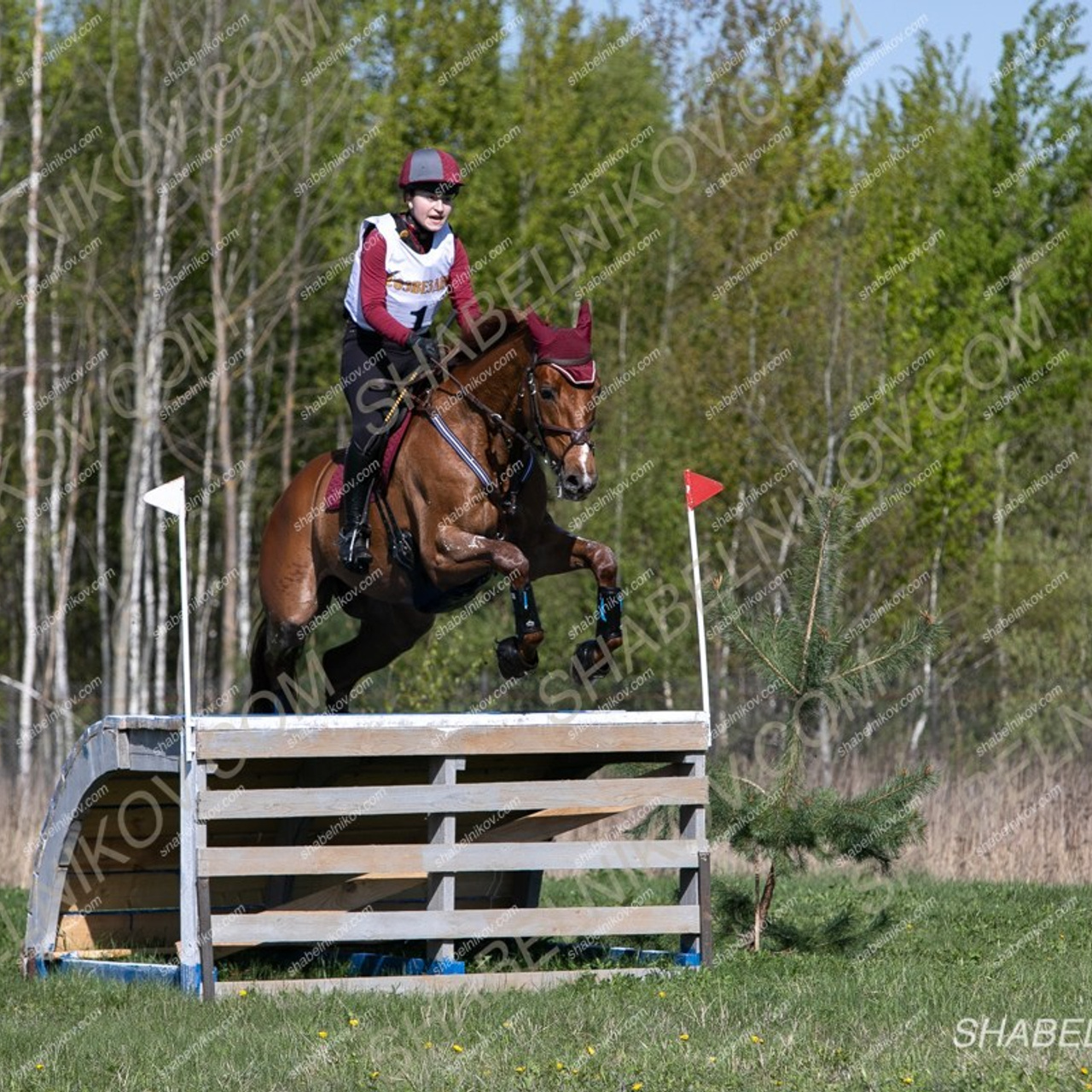 Отзывы. КониФото