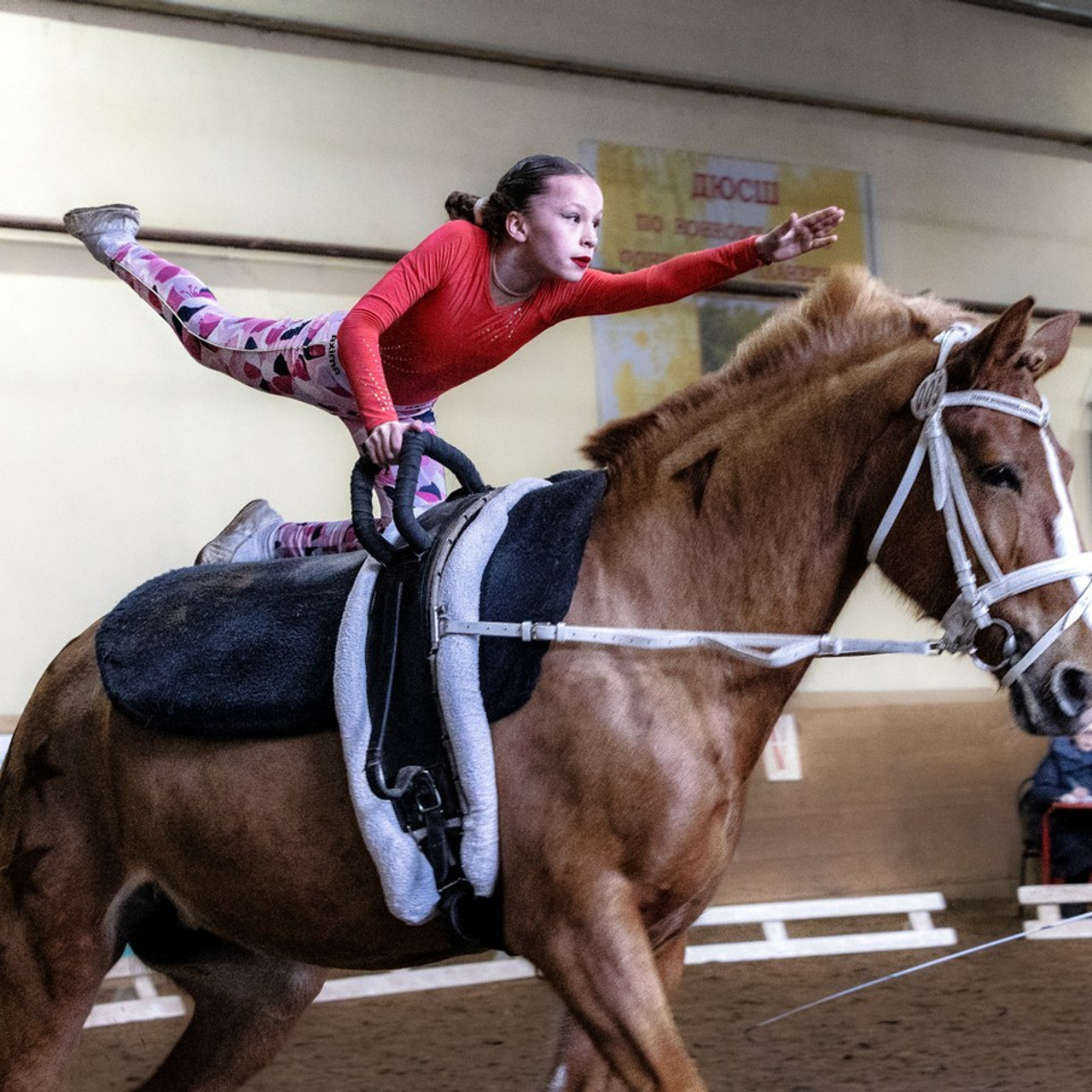 Отзывы. КониФото